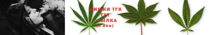 соль ск Богданович