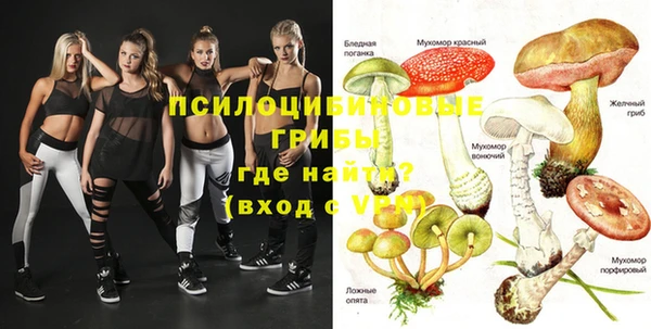 соль ск Богданович