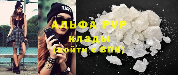 дмт Богородицк