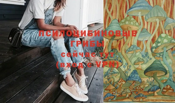 кокс Богородск