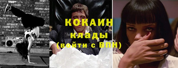 дмт Богородицк
