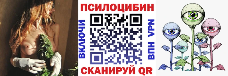 Псилоцибиновые грибы GOLDEN TEACHER  цены наркотик  Полтавская 